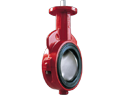 Butterfly Valve, Lug,  Lever, 6